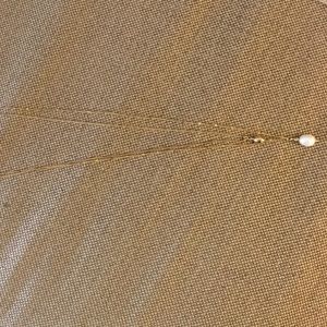 Stella & Dot Delicate Double Pearl Pendant
